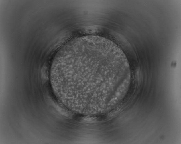 X0000092100606200710101123