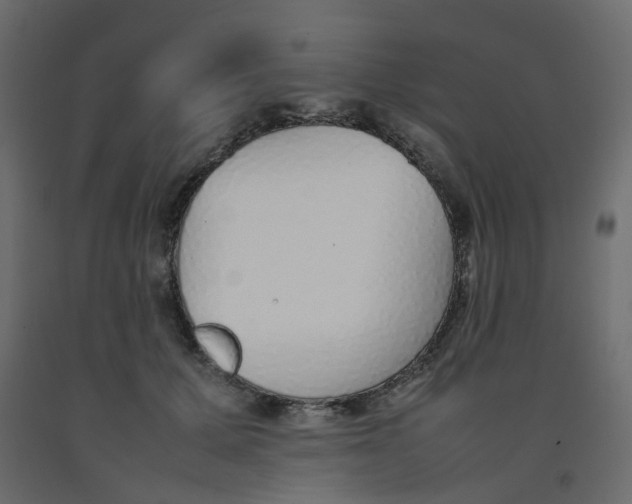 X0000092100607200710101123