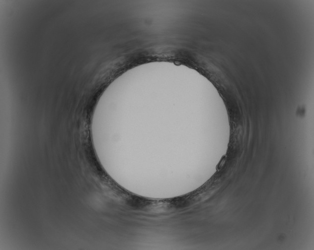 X0000092100609200710101123