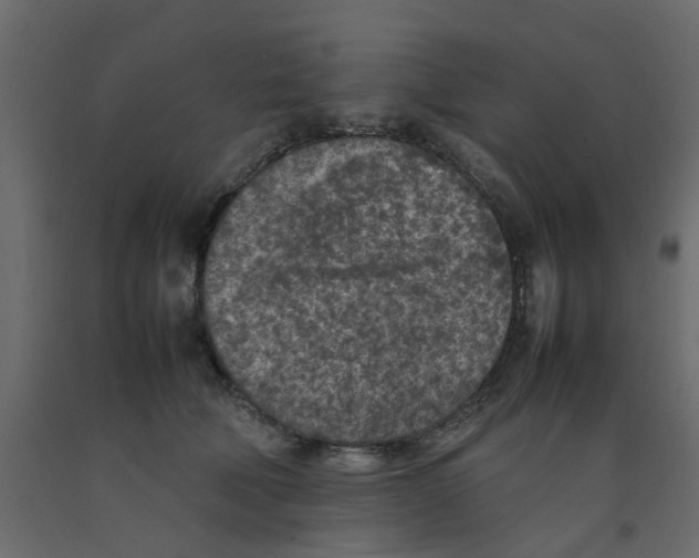 X0000092100610200710101123