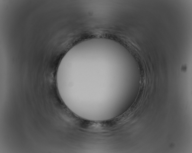 X0000092100611200710101123