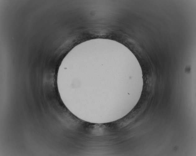 X0000092100612200710101123