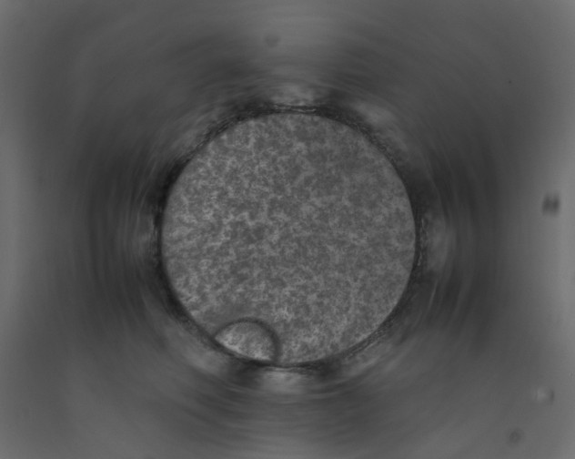 X0000092100614200710101123