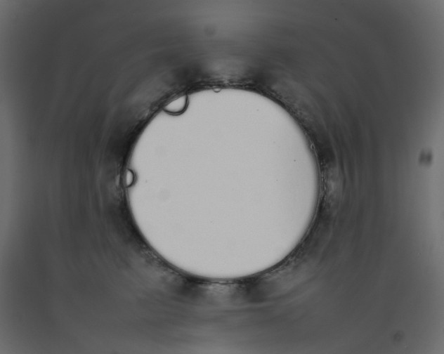 X0000092100615200710101123