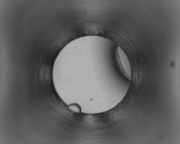 X0000092100616200710101123