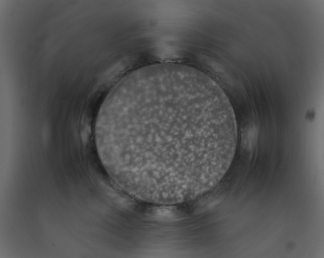 X0000092100618200710101123