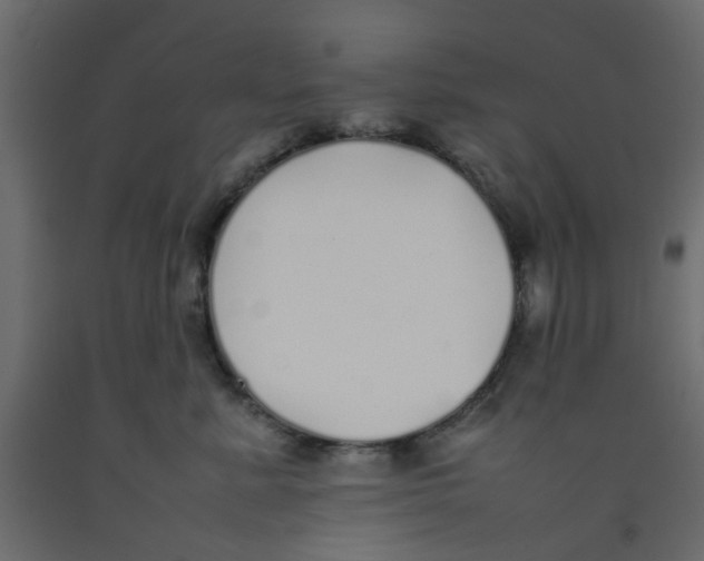 X0000092100619200710101123