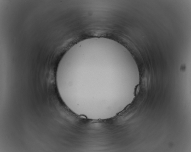 X0000092100620200710101123