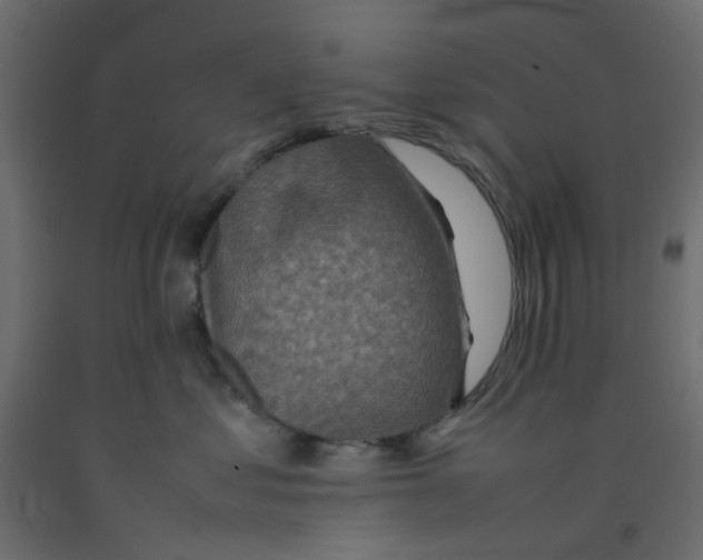 X0000092100621200710101123