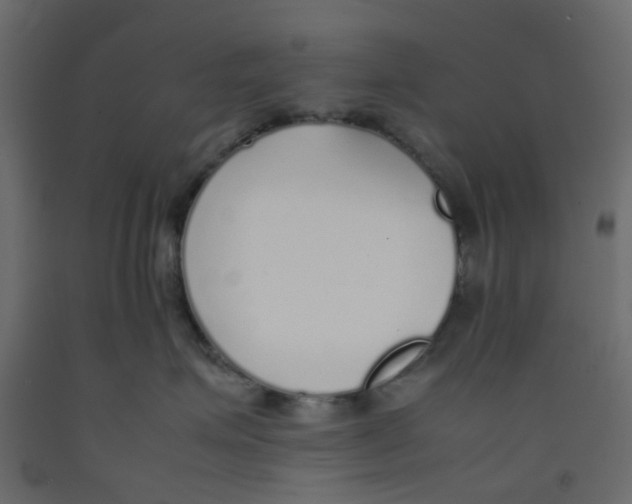 X0000092100623200710101123