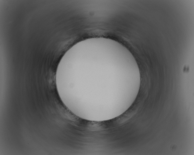 X0000092100624200710101123