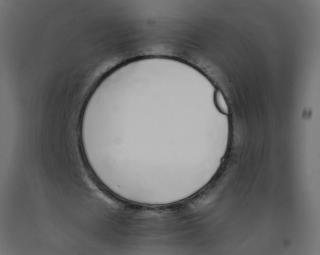 X0000092100625200710101122