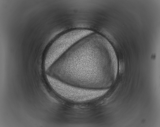 X0000092100627200710101122