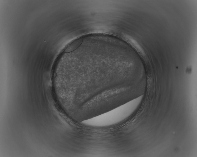 X0000092100628200710101122