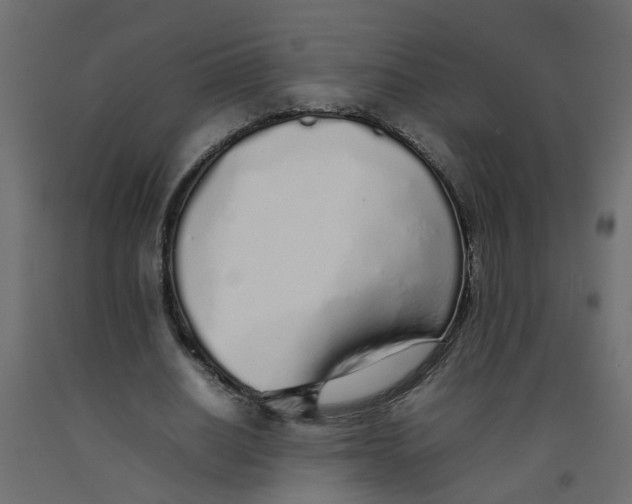 X0000092100630200710101122