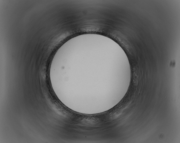 X0000092100631200710101123