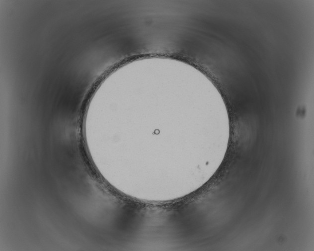 X0000092100632200710101123