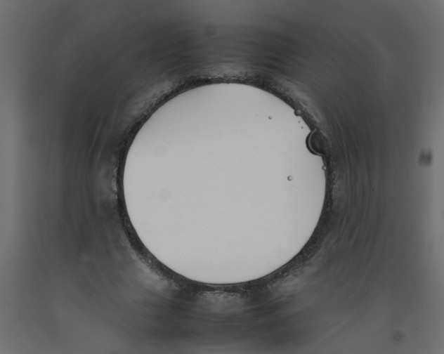 X0000092100633200710101123