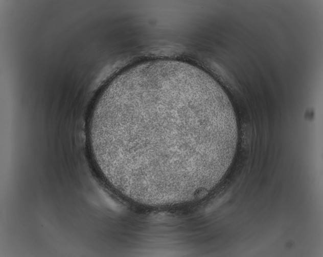 X0000092100634200710101123