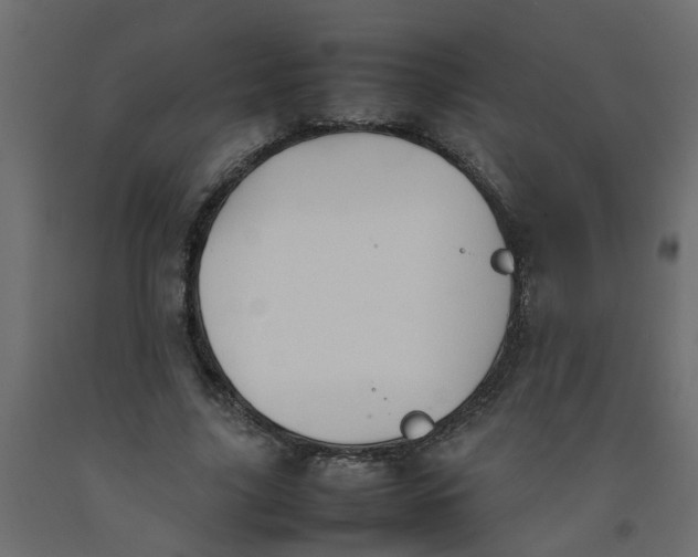 X0000092100635200710101123