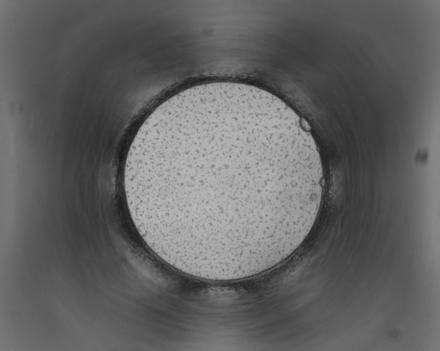 X0000092100636200710101123