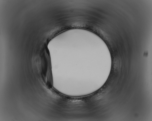 X0000092100637200710101123