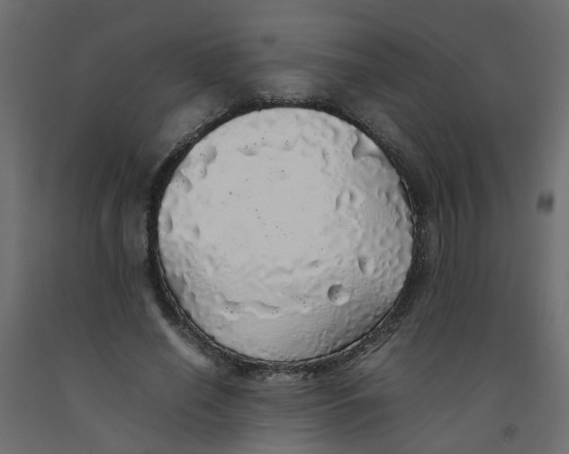 X0000092100638200710101123