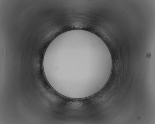 X0000092100639200710101123