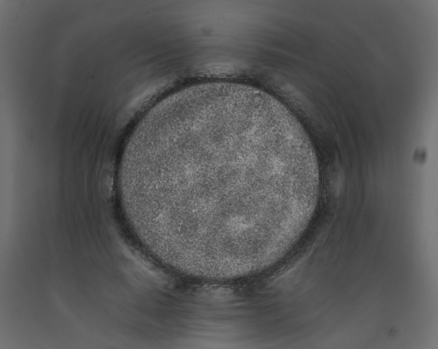 X0000092100640200710101123