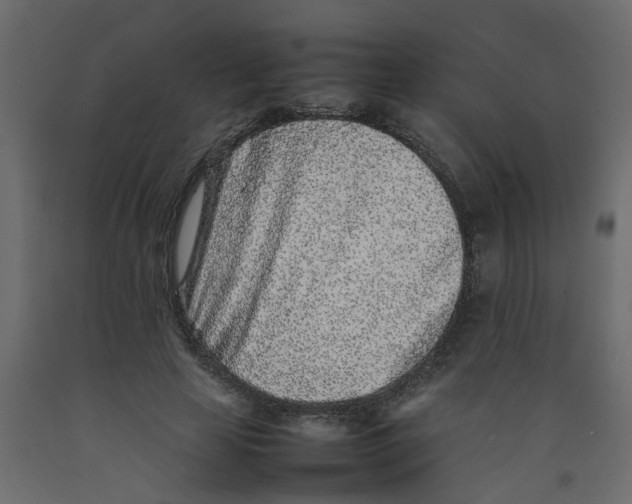 X0000092100641200710101123