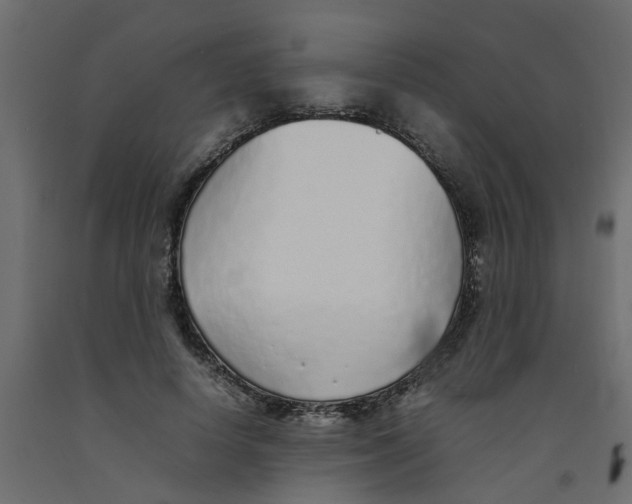 X0000092100642200710101123