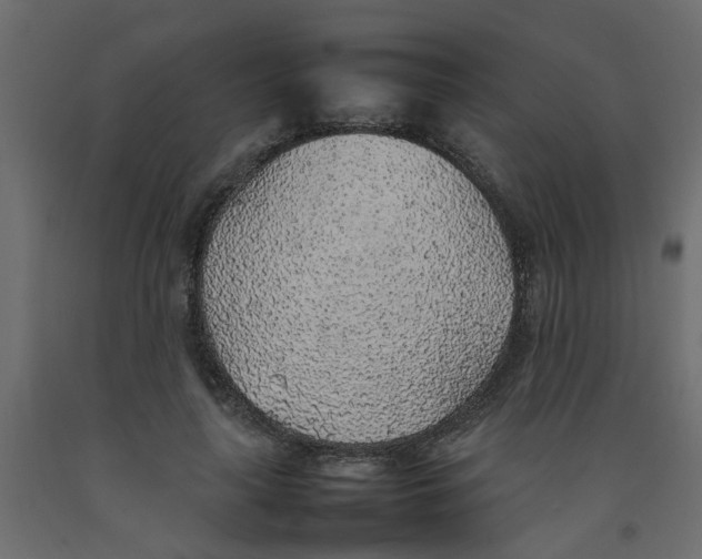 X0000092100643200710101123