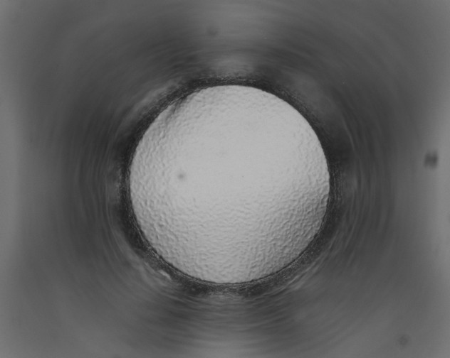 X0000092100644200710101123