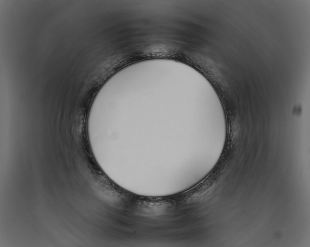 X0000092100645200710101123