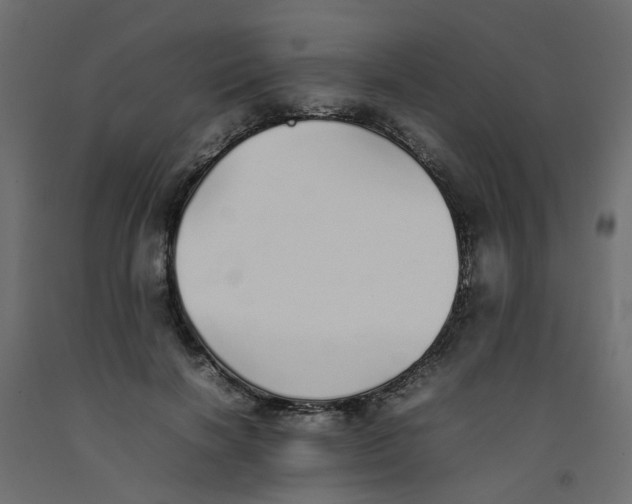 X0000092100646200710101123