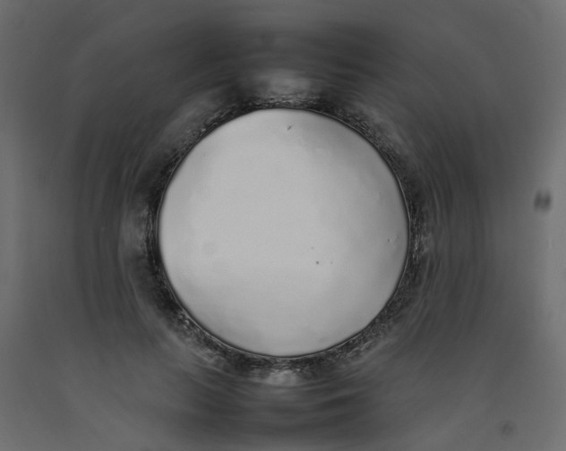 X0000092100647200710101123