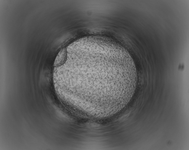 X0000092100648200710101123