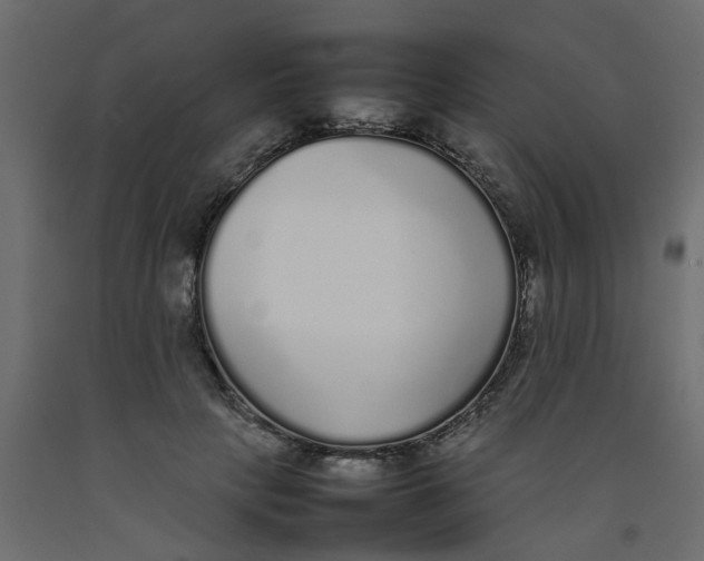 X0000092100649200710101123