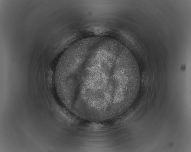 X0000092100650200710101123