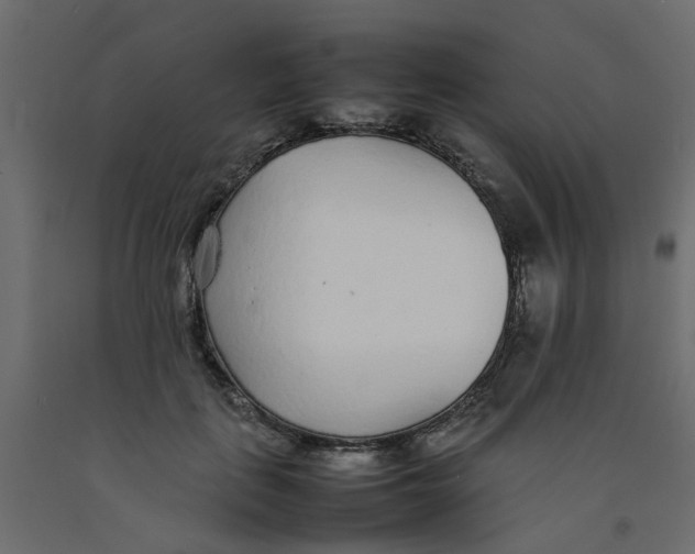 X0000092100651200710101123