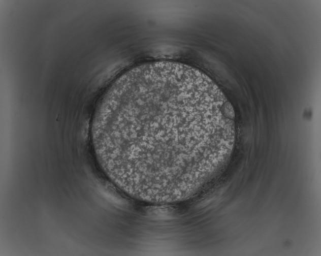 X0000092100652200710101123