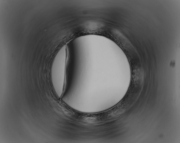 X0000092100653200710101123