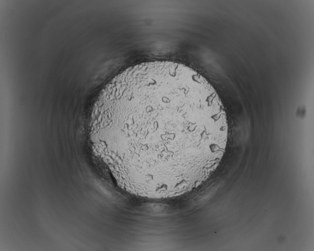 X0000092100654200710101123