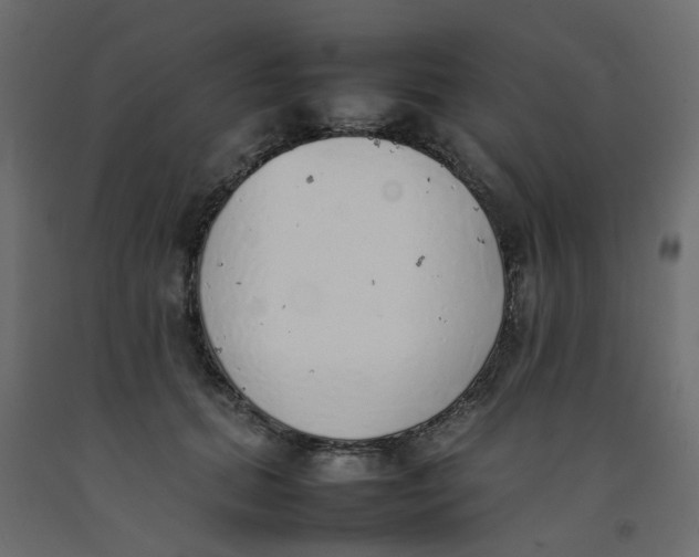 X0000092100655200710101123