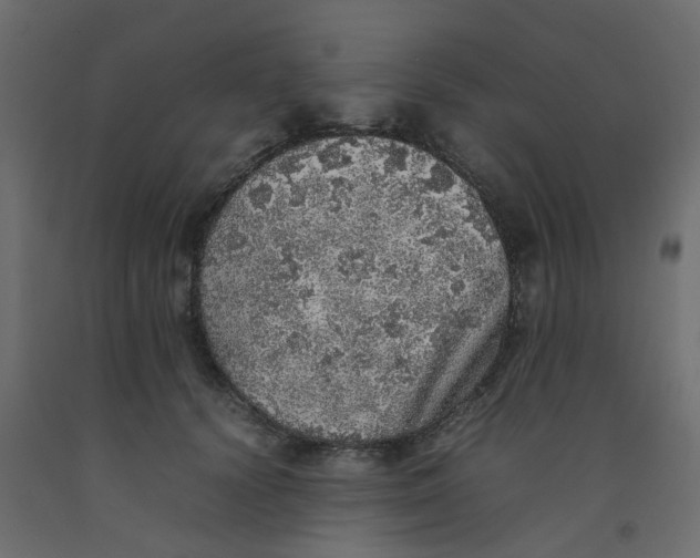 X0000092100656200710101123