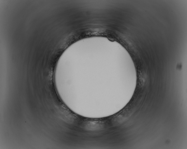 X0000092100657200710101123