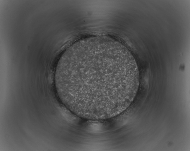 X0000092100658200710101123