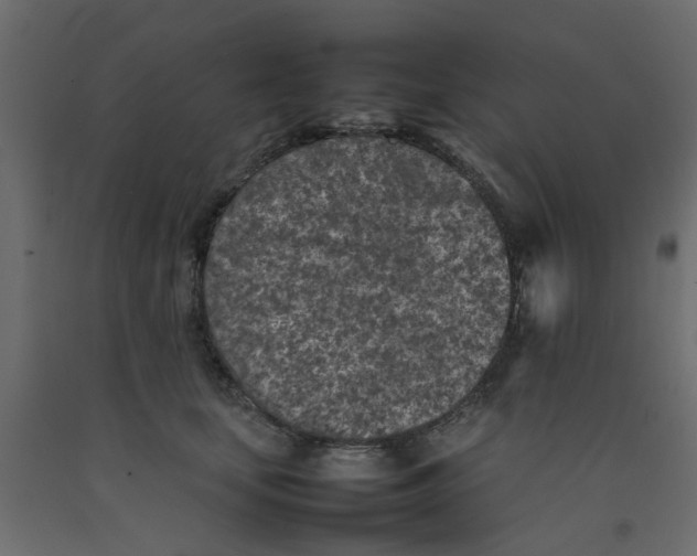 X0000092100659200710101123