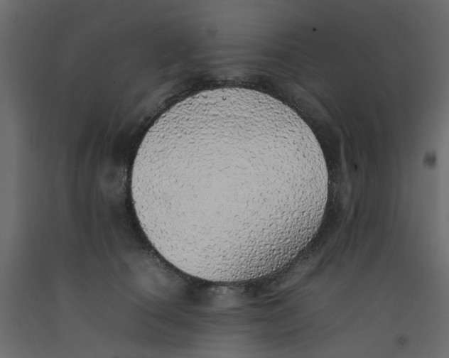 X0000092100660200710101123