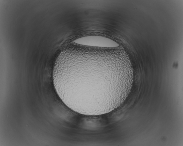 X0000092100661200710101123